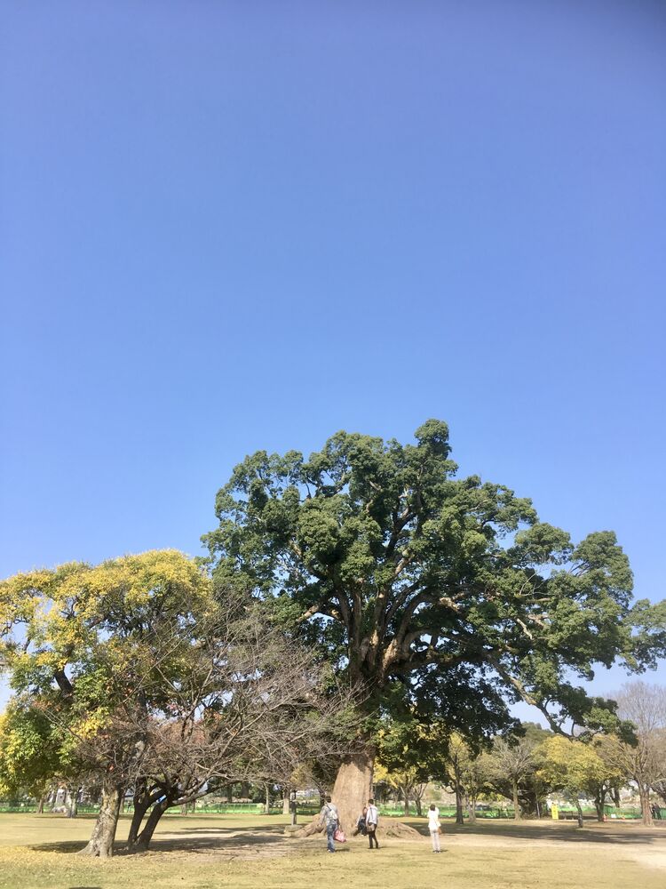 画像4025